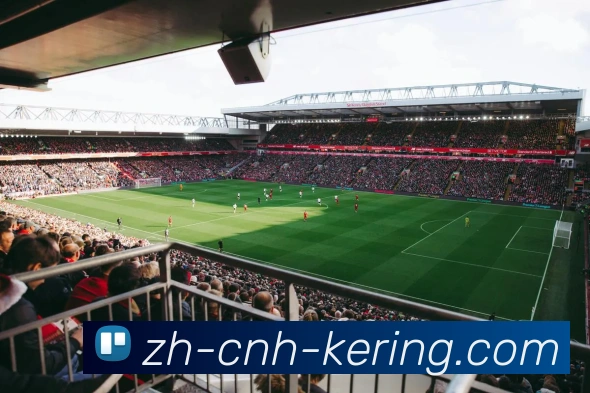 App Interface Preview