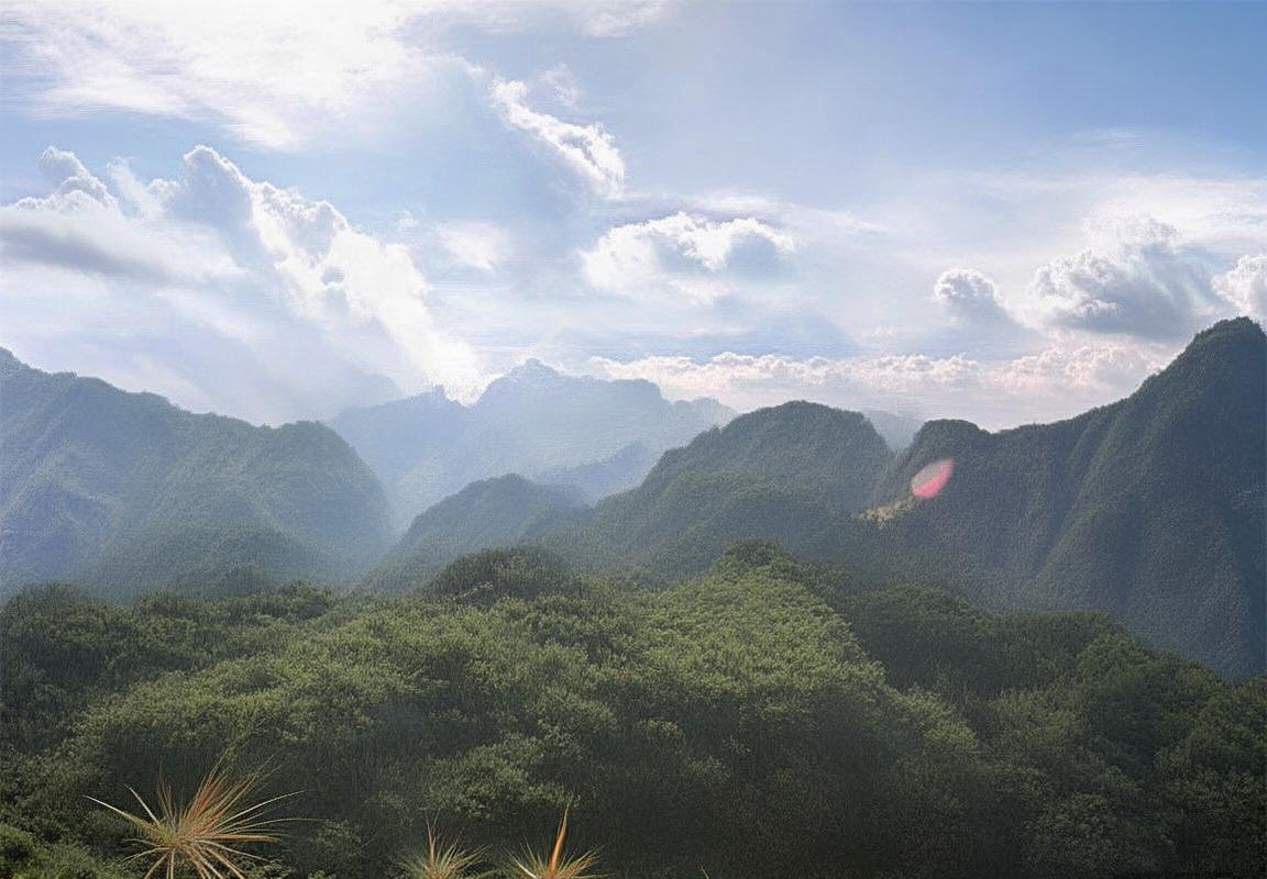 付豪：从普通青年到行业领军人物的奋斗之路